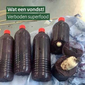 Nederlandse douane vindt coke in flessen met podosiri