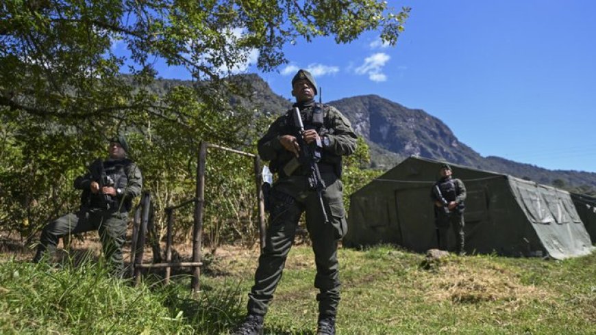 Colombiaanse Rebellen Schorten Aanvallen Op tijdens VN-biodiversiteitstop