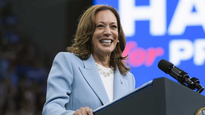 Bronnen: Harris ontmoet dit weekend mogelijke running mates