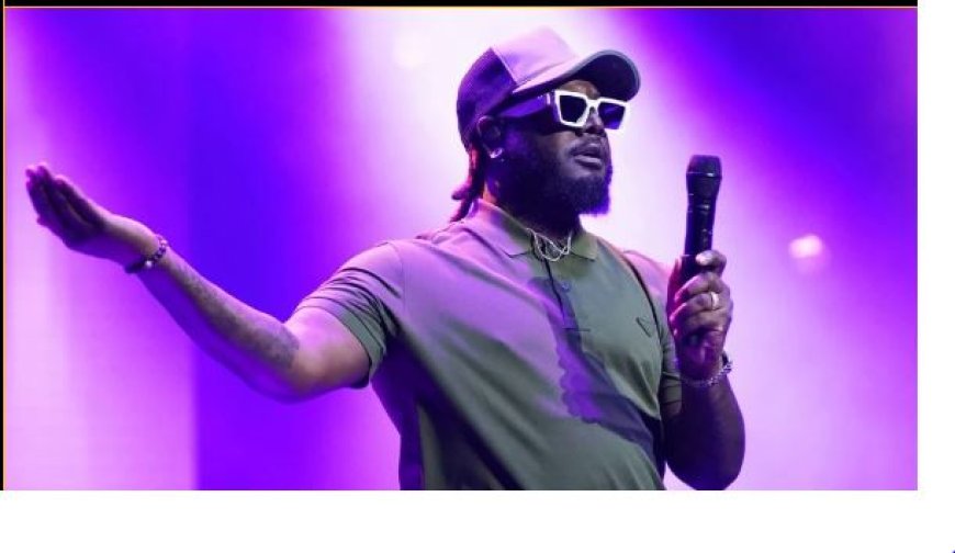 T-Pain Spreekt Publiek Toe na Gooien van Spullen tijdens Optreden