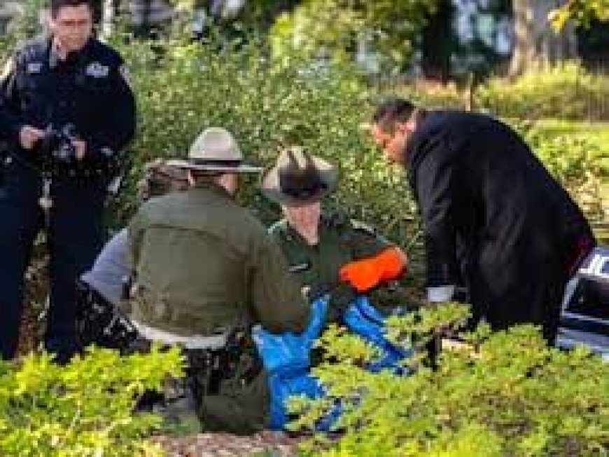 Robert F. Kennedy jr. niet vervolgd voor dumpen van dode beer in Central Park