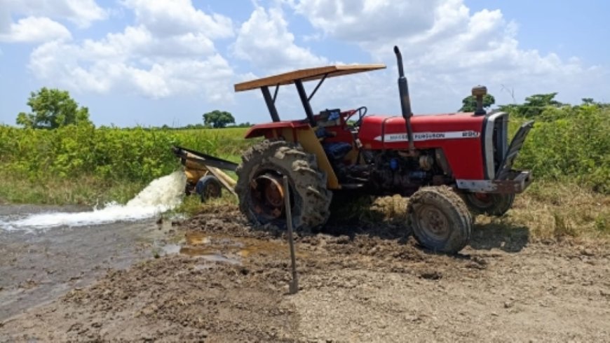 Mismanagement waterbeheer nekt rijstsector