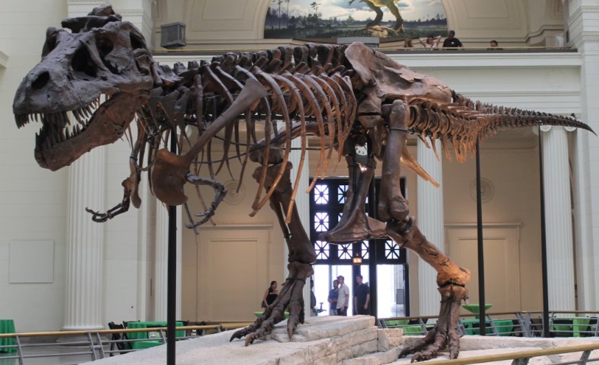 Weetje van de dag – Vandaag in 1990: Skelet van Tyrannosaurus rex ontdekt