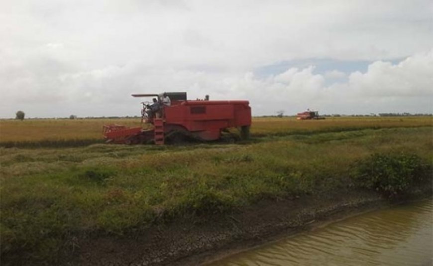 Kwestie compensatielijst rijstboeren doet vragen rijzen omtrent eerdere schadeloosstellingen 