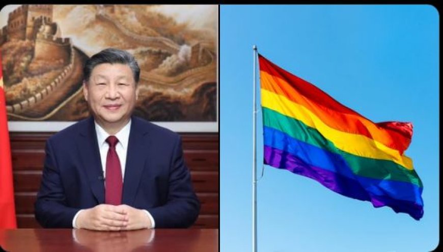 CHINA VERBIEDT Amerikaanse lesbienne om bezoekrecht te hebben voor zoon in LANDMARK-zaak.