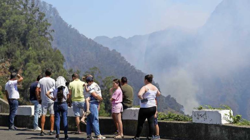 Fikse bosbranden op Madeira en in Zuid-Frankrijk