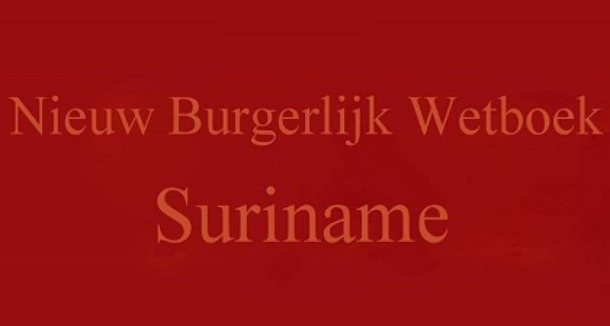 ‘Nieuw Burgerlijk Wetboek gefaseerd invoeren’