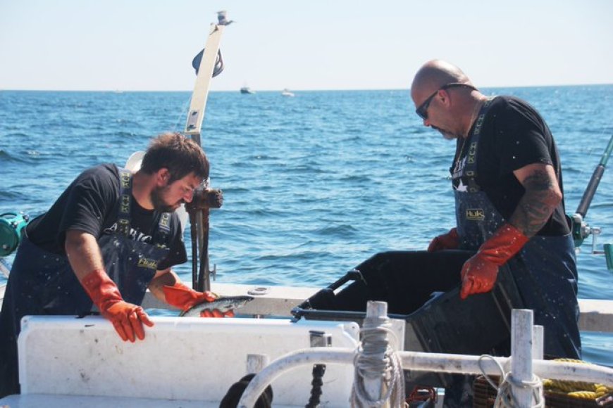 National Geographic annuleert ‘Wicked Tuna’ na 13 seizoenen