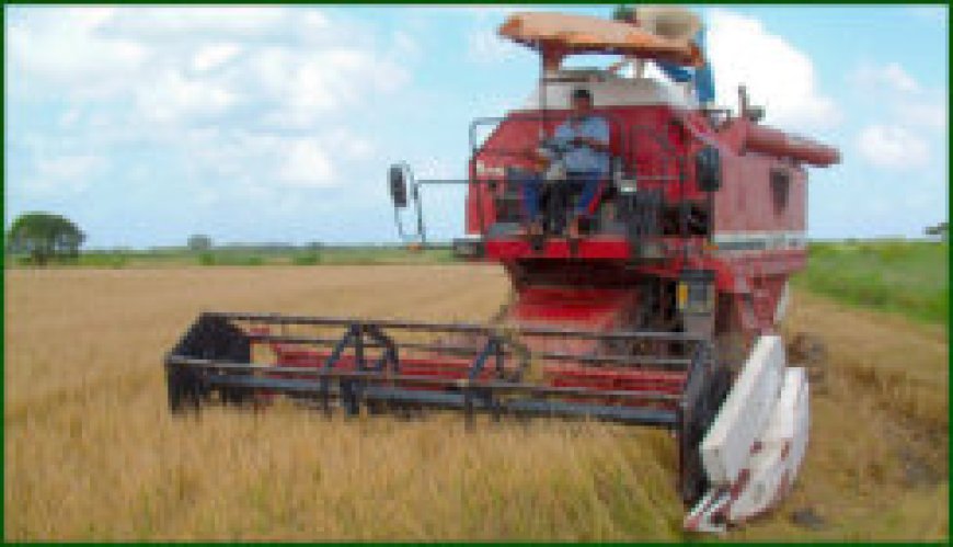 Boeren tasten nog in duister over uitkering schadecompensatie