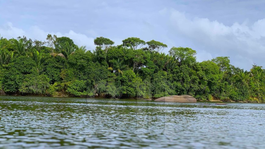 Lijk langs de Surinamerivier aangespoeld