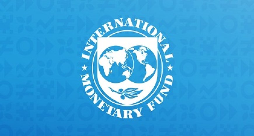 IMF en Suriname bereiken akkoord op personeelsniveau voor zevende evaluatie