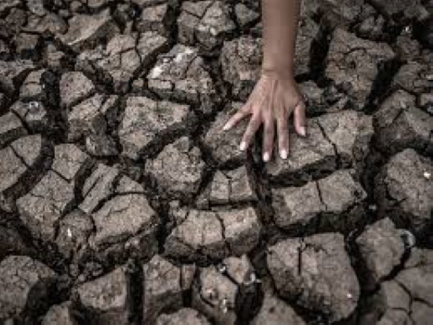 Ziekten die kunnen voorkomen bij droogte en hitte 