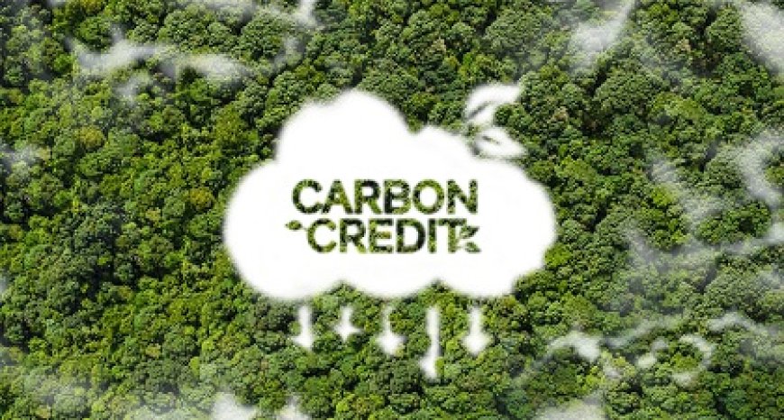 Suriname start met de verkoop van emissie reductie Carbon Credits