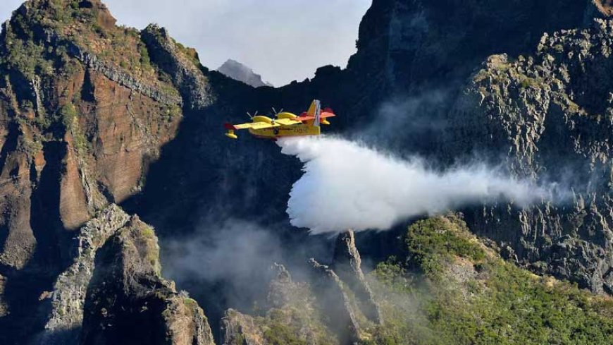 Natuurbranden op Madeira na elf dagen onder controle