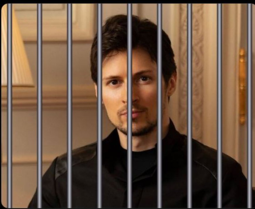 TOP-5 MOGELIJKE REDENEN ACHTER DE AANHOUDING VAN TELEGRAM-CEO DUROV