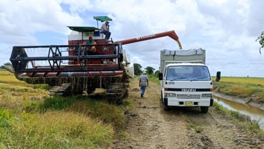 Kleine rijstboeren wachten opzetten rijstpelmolen af