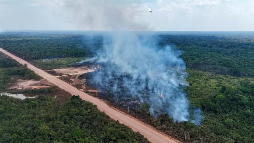 Braziliaanse ‘regenwoudredder’ Lula wil omstreden weg door Amazonegebied