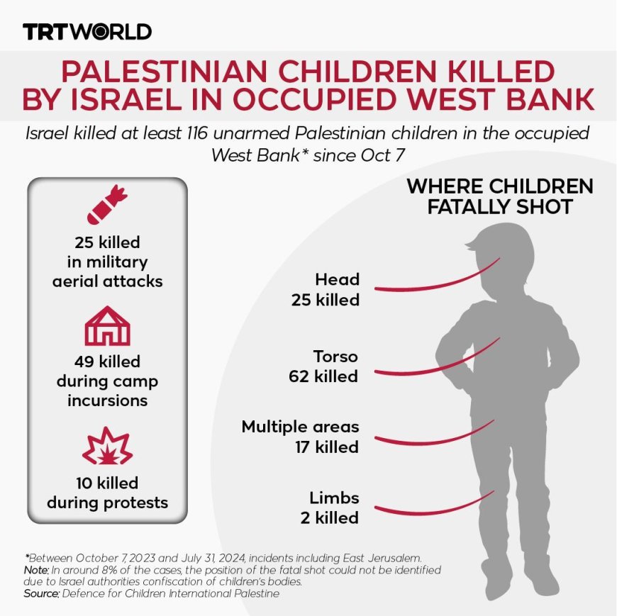 Israëlische Troepen Systematisch Beschuldigd van Aanvallen op Palestijnse Kinderen**