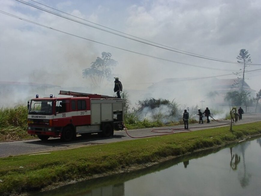 Suriname en de bosbranden in het Amazonegebied