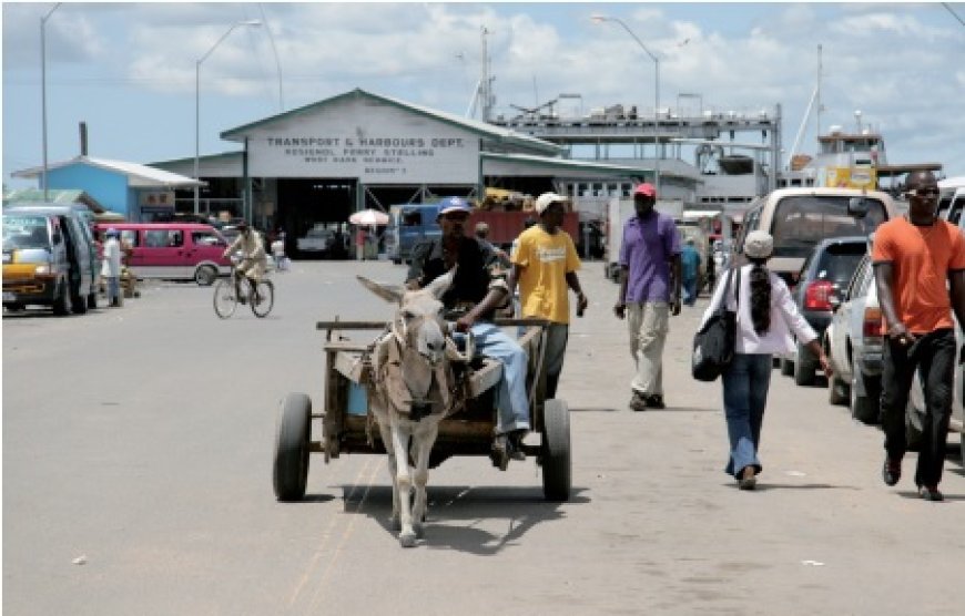 Guyana: geschiedenis, natuur en hotspots – Parbode Sneak Peek