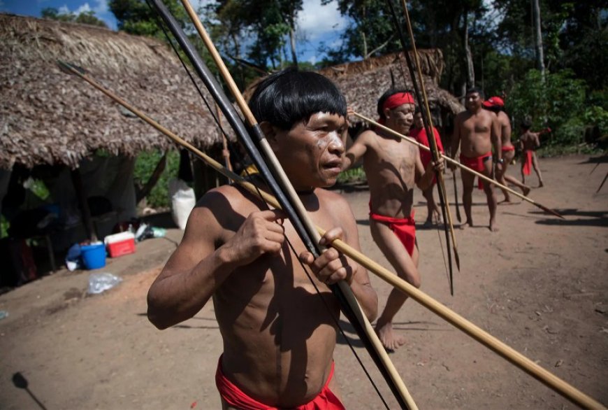 Brazilië nadert einde illegale goudwinning in Yanomami-gebied