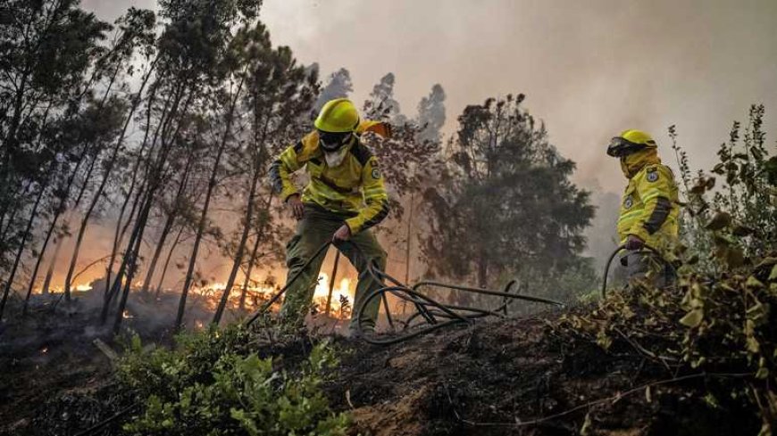 Brandweerlieden omgekomen bij bestrijding bosbranden Portugal