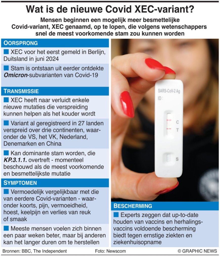 Wat is de nieuwe Covid XEC-variant?