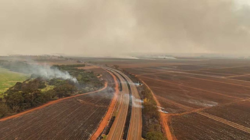 Branden op Braziliaanse suikerplantages stuwen suikerprijs verder op