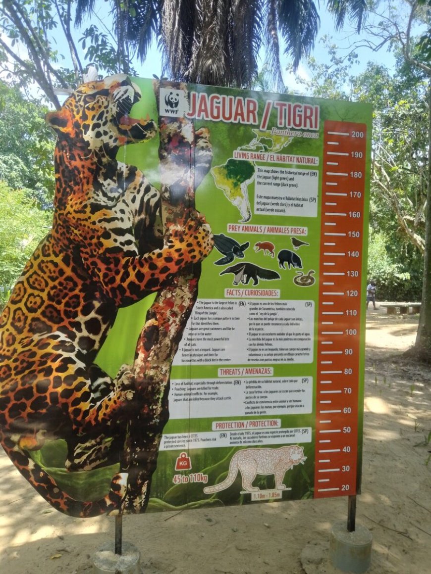 Een onvergetelijke dag in de Paramaribo Zoo