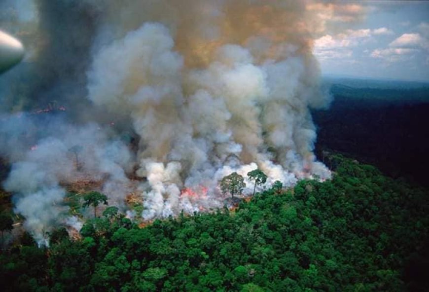 Hevige bosbranden in Brazilië en Bolivia breken records