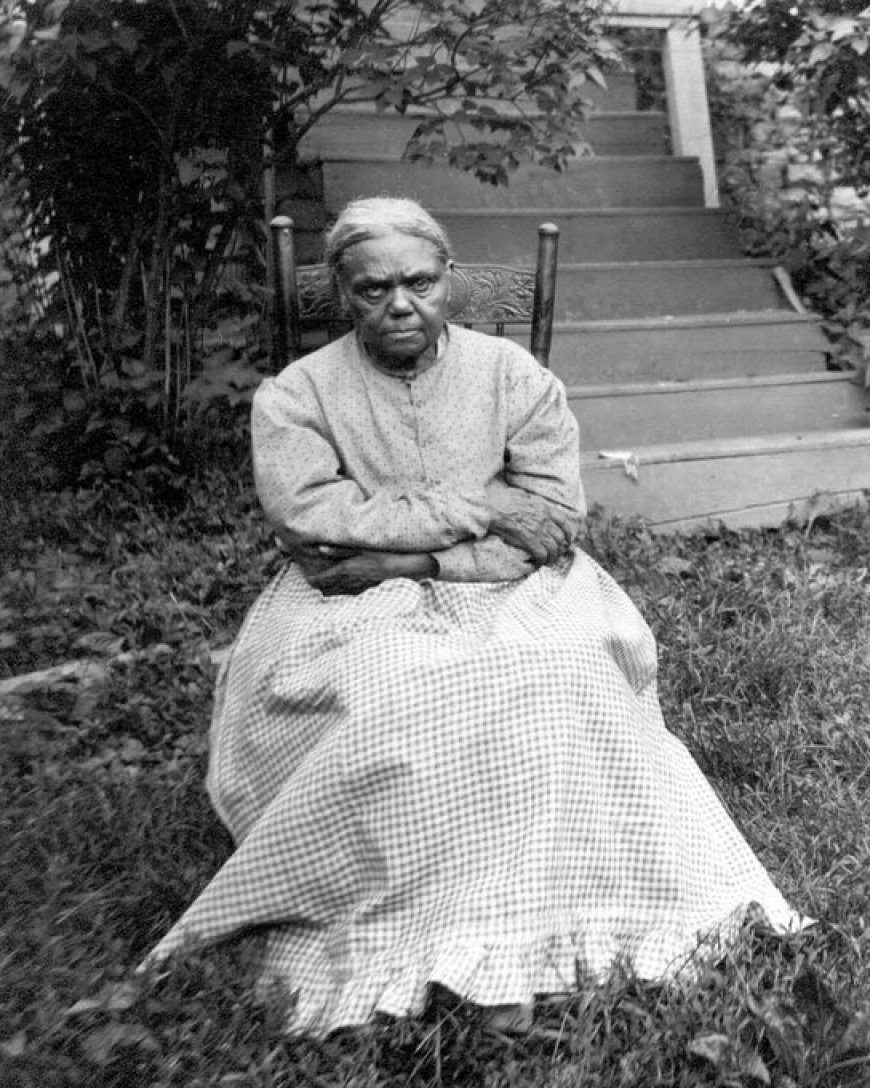 WIST U DAT: Tante Polly Jackson heldin van de Underground Railroad was?