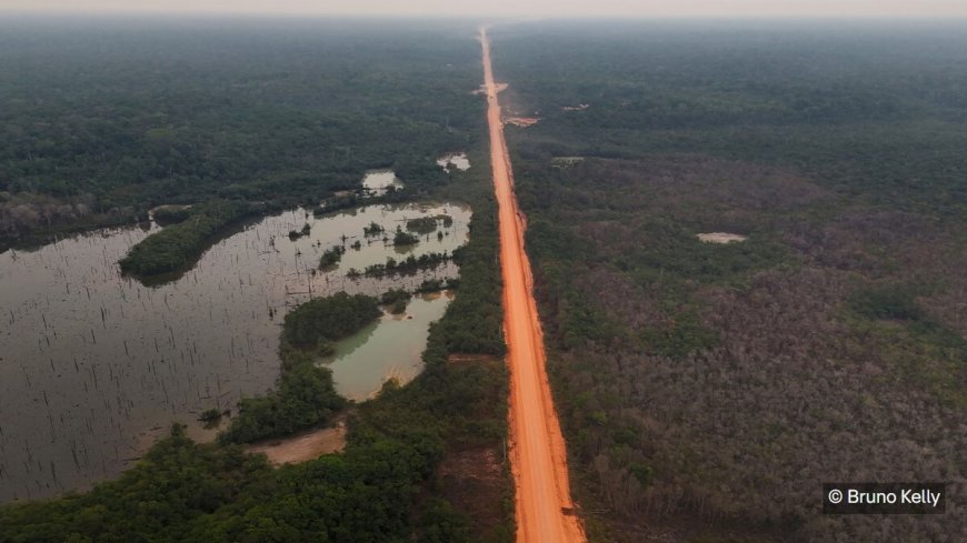 Wetenschappers waarschuwen: 800 kilometer lange snelweg in hart Braziliaanse Amazone kan Amaz