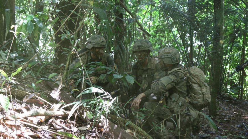 Nederlandse militairen starten jungletraining in Suriname