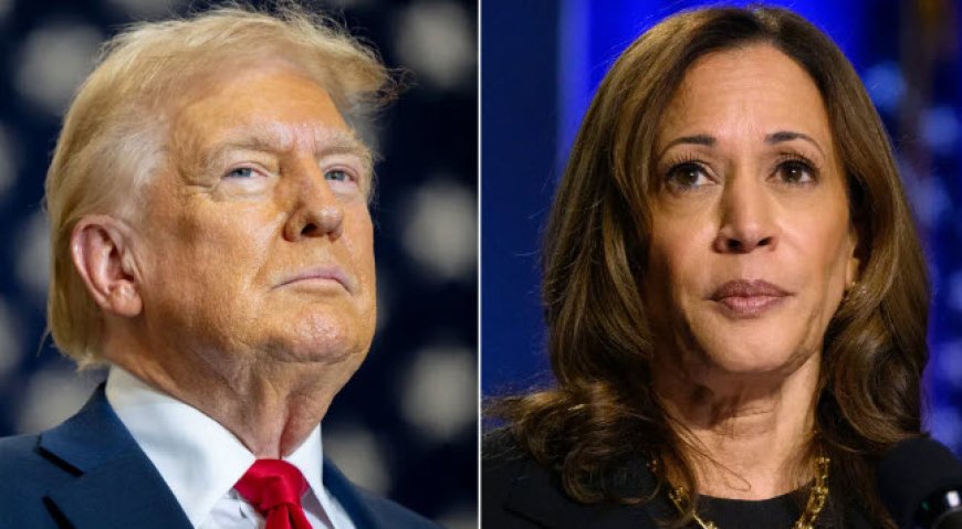 Wat is het laatste nieuws over de Trump-Harris race?