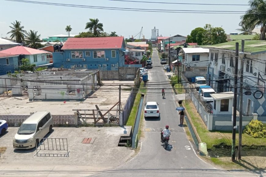 Voorwoord: Surinaamse bodemschatten een vloek