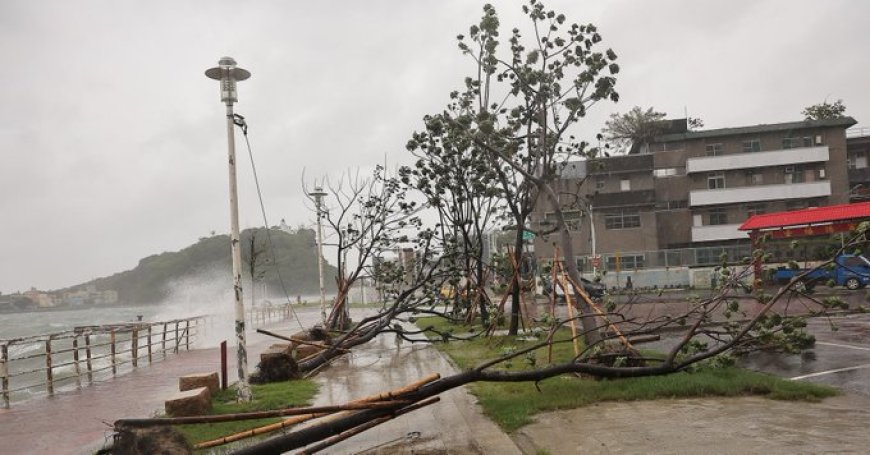 Taiwan bereidt zich voor op tyfoon Krathon; tweede dag stilgelegd**