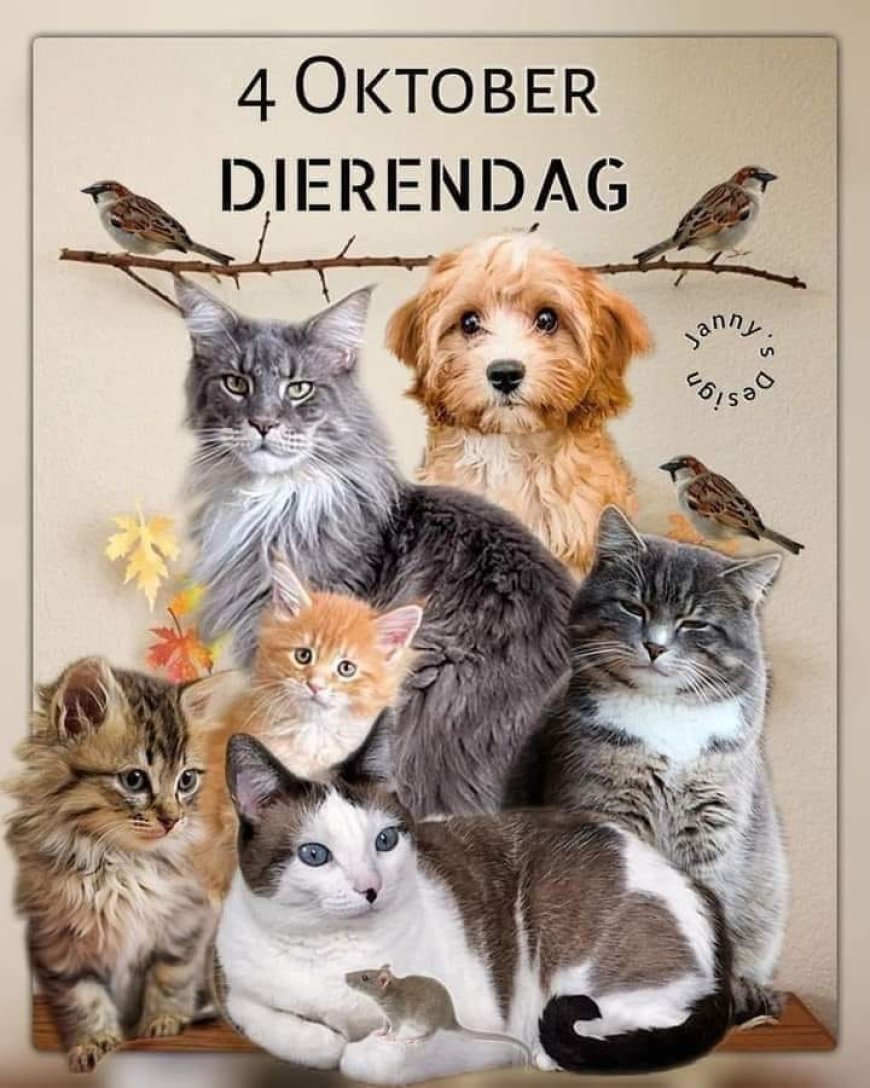 Wereld Dierendag: Dierenwelzijn toen en nu