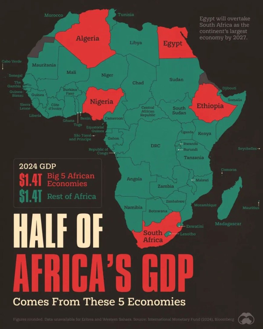 Wist je dat de helft van het BBP van AFRIKA afkomstig is van slechts vijf (5) landen?