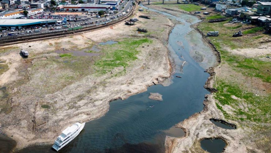 Laagste waterstand ooit gemeten in zijrivier Amazone