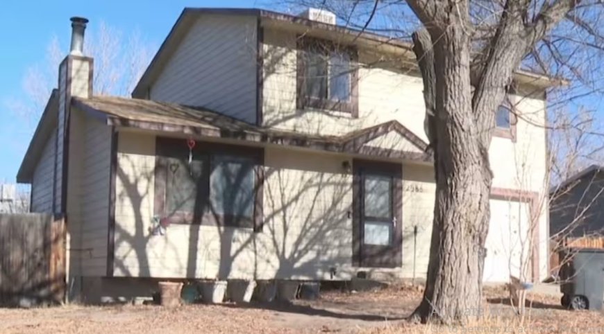 Hoofd en afgehakte handen in vriezer in Colorado (VS) blijken van in 2005 verdwenen meisje