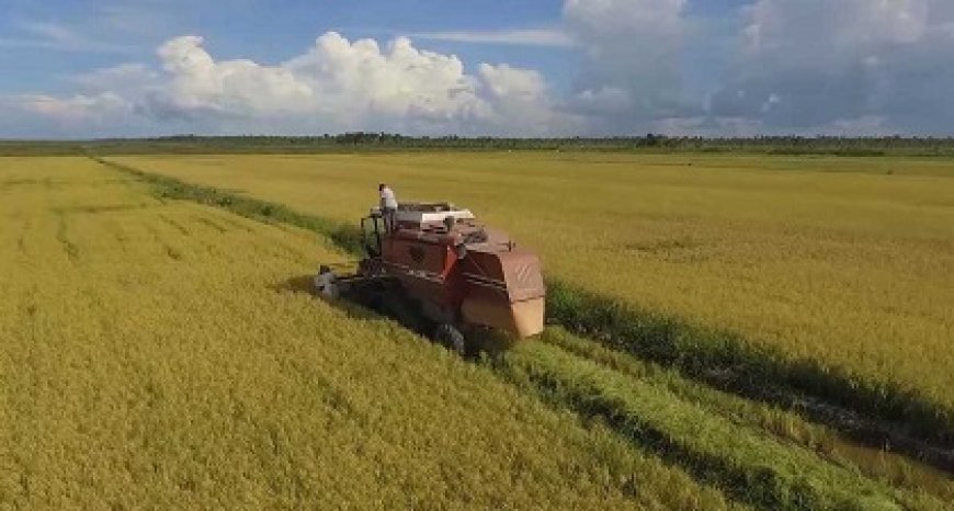 Nickeriaanse boeren vragen president in brief zich te houden aan afspraken