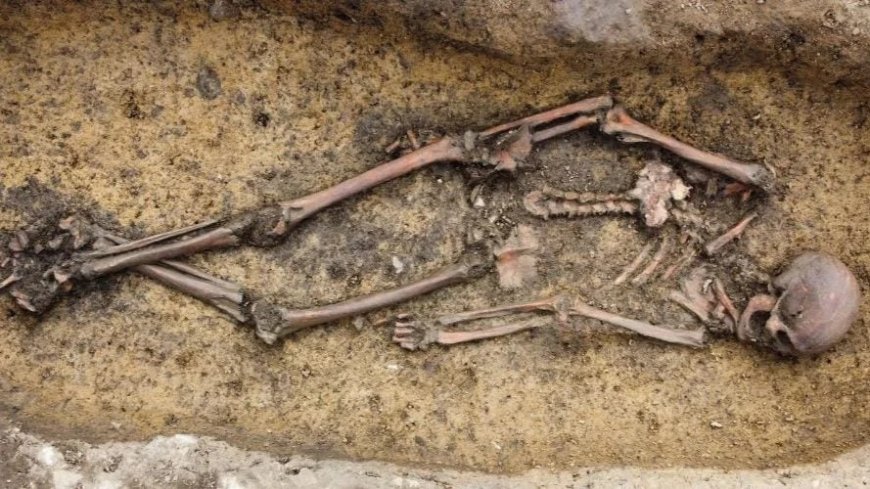 Archeologen vinden vijftig skeletten uit Vikingtijd in Denemarken