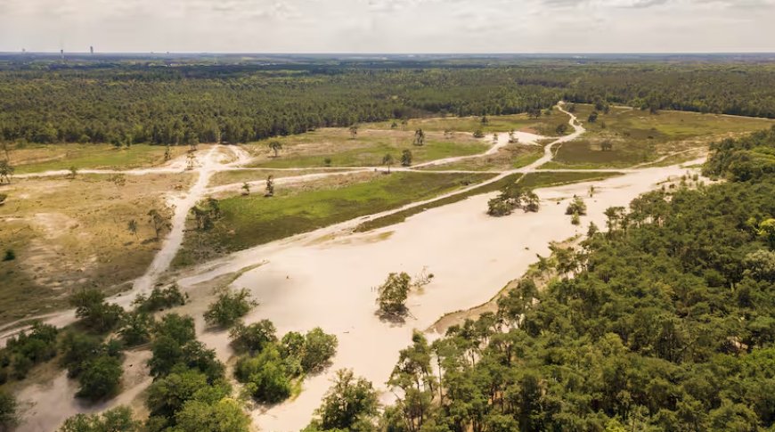 Groot deel van Noord-Brabant wordt het Van Gogh Nationaal Park