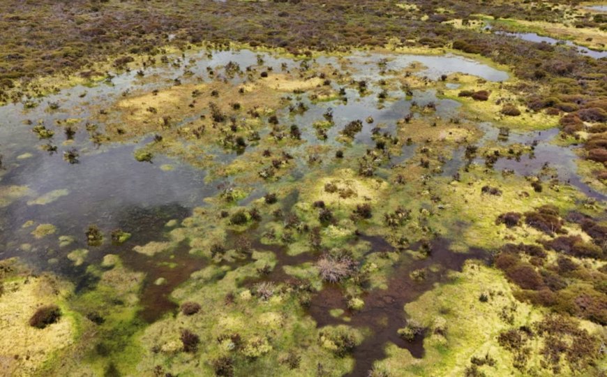 Colombia en Ecuador vechten om vitale wetlands te redden tijdens droogte