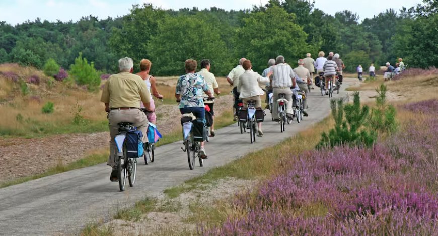 Nederlands pensioenstelsel opnieuw het beste van de wereld