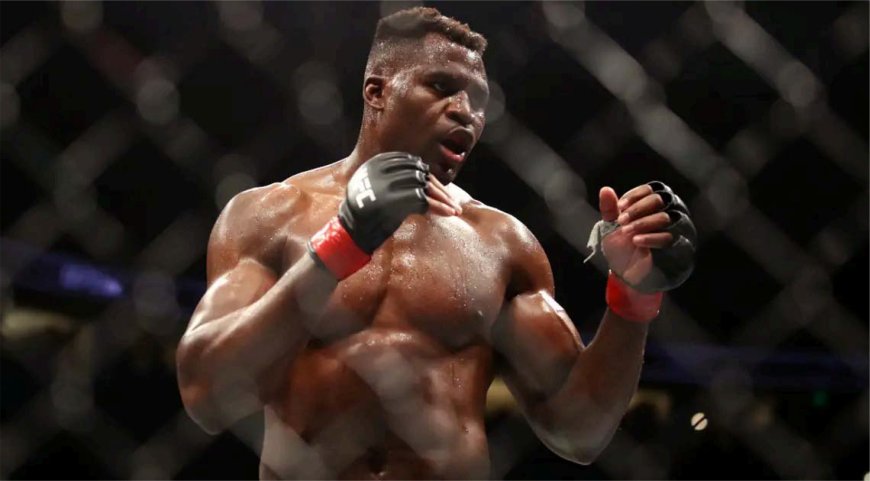 Battle of the Giants tussen Ngannou en Ferreira