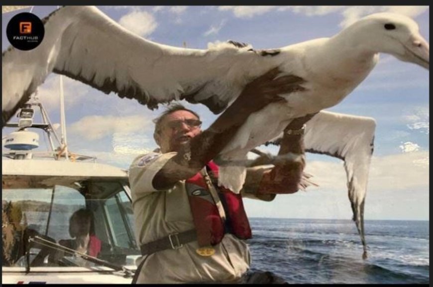 WIST U DAT: De albatros de grootste vogel is die jaren kan vliegen zonder te landen?