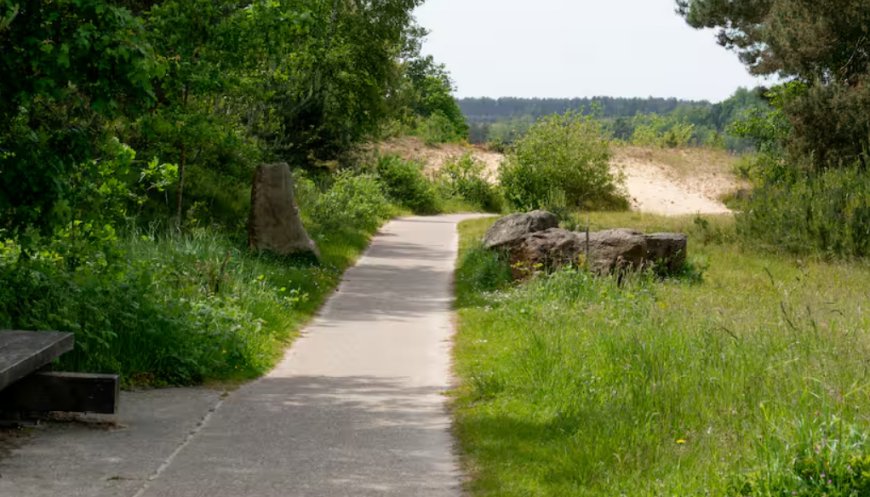 Nederland wordt stukje kleiner: 1 hectare verkocht aan België