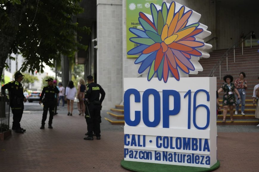 Milieudelegaties in Colombia voor COP16 conferentie over afnemende wereldwijde biodiversiteit