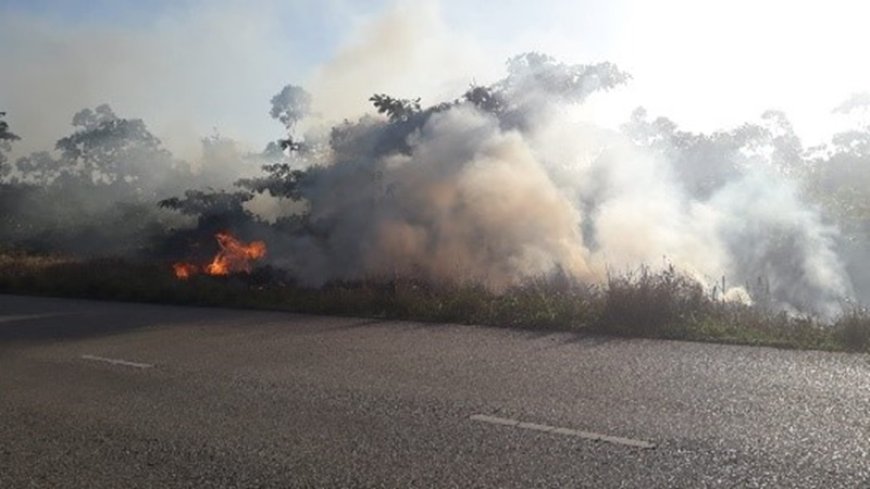 Elektriciteitsmast vat vlam door bermbrand